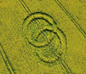 Read more about the article Saving the Best for Last