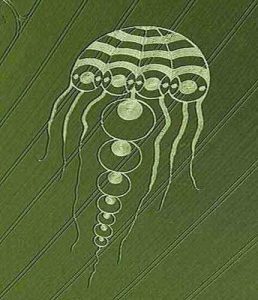 Read more about the article A covering protects…