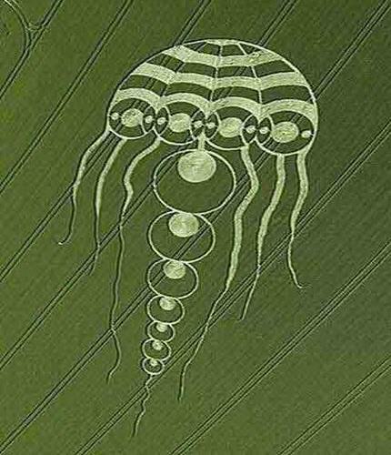 Read more about the article A covering protects…