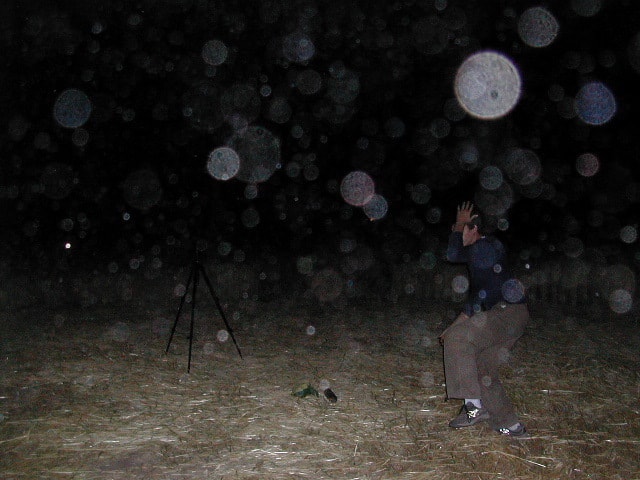 From Hans in Chile:    Strange apearance here in the Chilean mountains. Dozens of small  balls of light have apeared and have been revealed by use of flashlight.  They range in size from golf balls to basketballs. The spheres are  not visible with the naked eye as long the dog follows them as if he  could see them, snapping them in the air or on the ground without  visible effect. The spheres appear inside and outside the house for two days - July 29-30,  2002), we continue to take photographs.