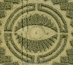 Read more about the article Being watched 24/7