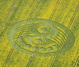 Read more about the article Lord of the Ring is not Lord of the Bring