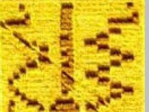 Read more about the article Getting the Message Part 4 “The Double Helix”