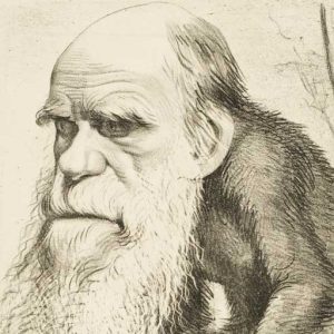 Read more about the article Charles Robert Darwin (Derwood) Monkey god.