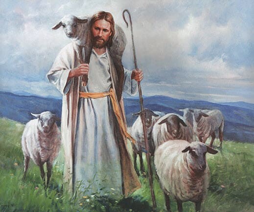 You are currently viewing Where are the Good Shepherds?