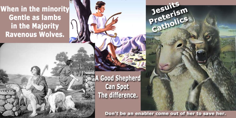 Read more about the article Gentle as Lambs or Ravenous Wolves We Have a Choice.