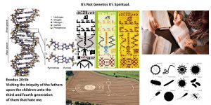 Read more about the article It’s not genetics it’s spiritual.